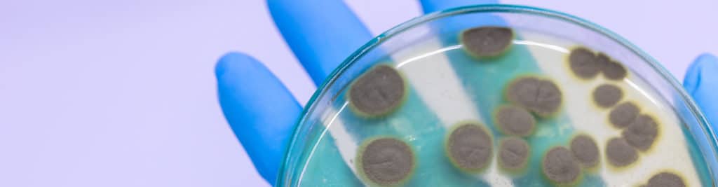 Penicillin Allergy